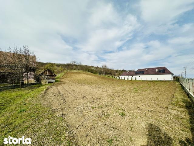 De vanzare: Casa cu 4629 mp teren in Abus, jud. Mures