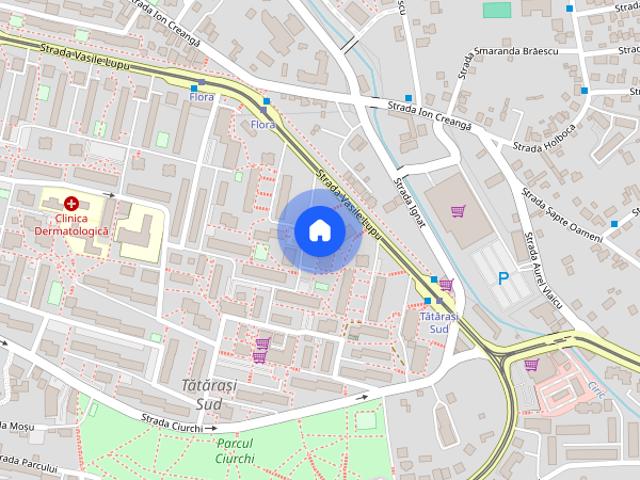 De vanzare sau inchiriat: Apartament 1 camera, Vasile Lupu, Flora, 30 mp, mobilat, utilat