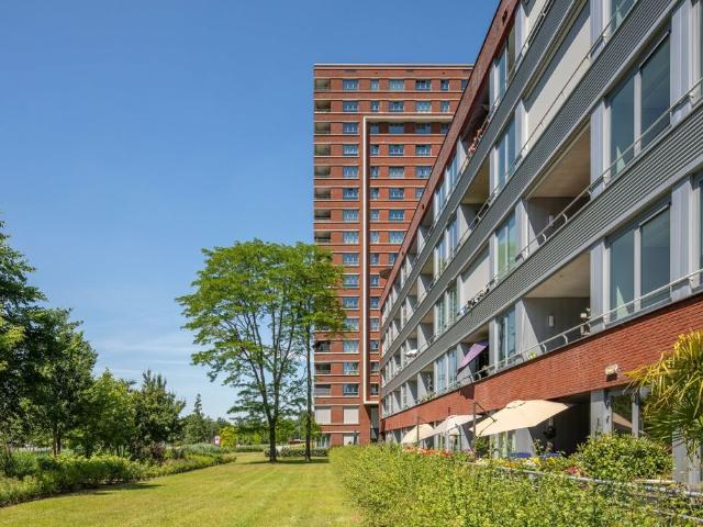 De Warande, Zuiderpark