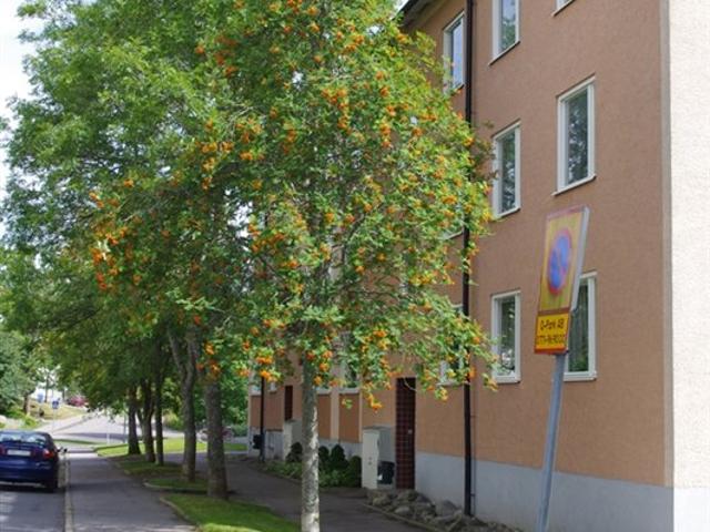 De Wijks väg 13 B