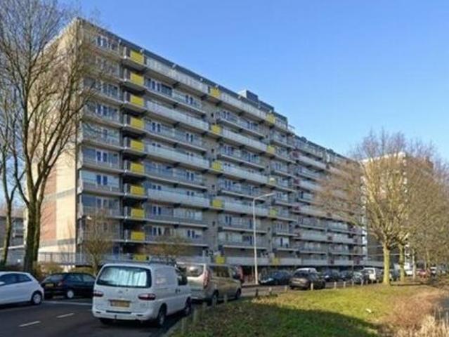 De Brink, 2553HA, Den Haag, Zuid Holland 2553HA