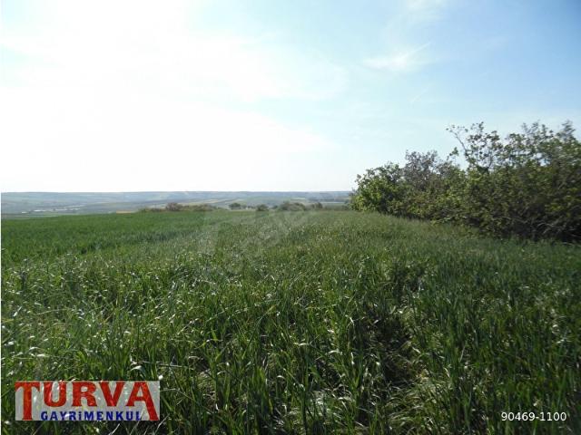 DEĞİRMENKÖYDE YATIRMLIK 12886 M2 TARLA
