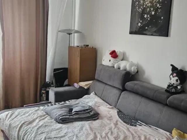 De inchiriat apartament, 1 camera, decomandat, 30 mp, Tudor Vladimirescu, Gradinari, Cod 162947