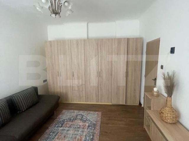 De inchiriat apartament deosebit ultracentral, situat pe pietonala