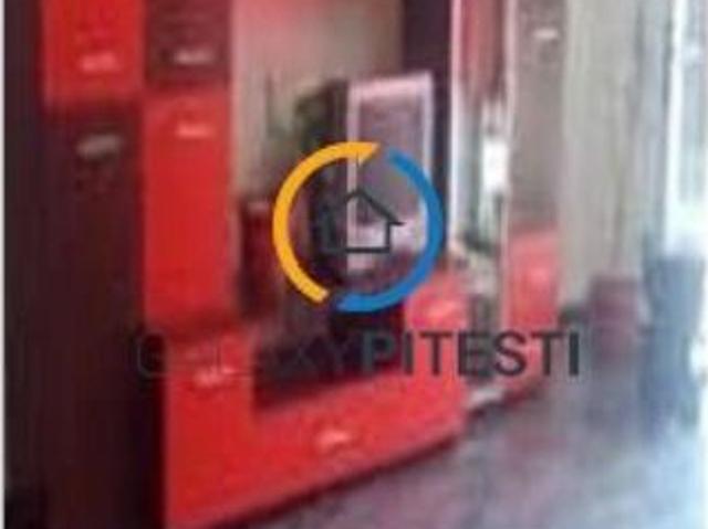 De inchiriat vila P+1 Trivale, pretabila pentru echipe, etc