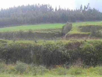 DE OPORTUNIDAD PROPIEDAD DE 5 HECTÁREA EN CAYAMBE