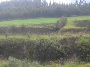 De Oportunidad Propiedad De Venta De 5 Hectáreas En Cayambe