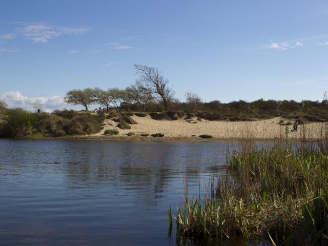 De Schelp 43