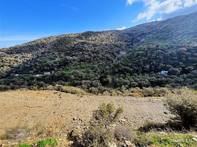 DEMETTEN KARABURUN SARPINCIKTA SATILIK TARLA