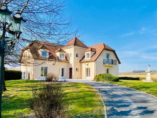 Demeure de caractère au cœur du vignoble champenois