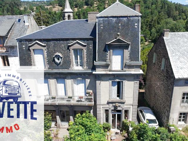 Demeure de caractère face au château