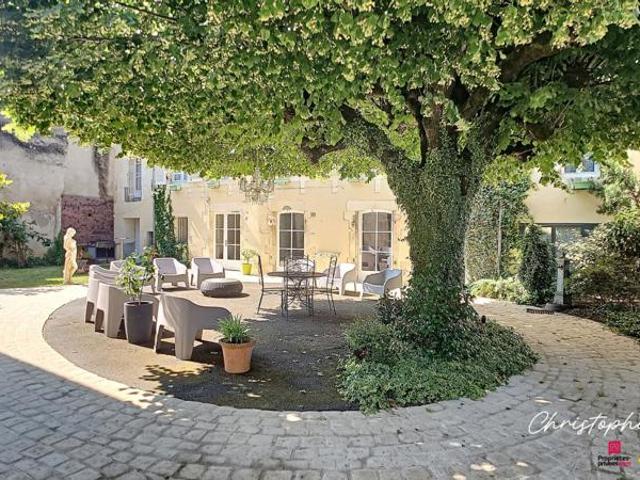 Demeure de charme Chauvigny 9 pièce s 330 m2