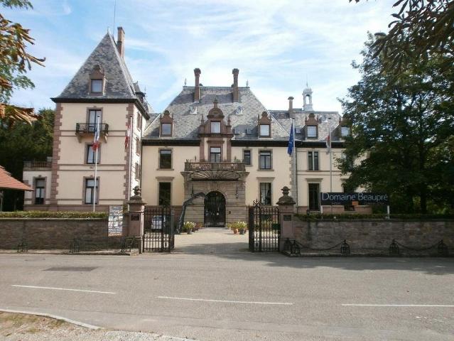 Demeure de luxe de 1320 m2 en vente Guebwiller, Grand Est