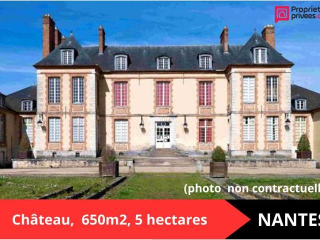 Demeure de prestige Nantes 21 pièce s 600 m2