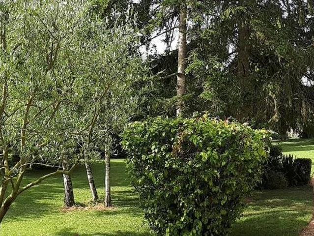 Demeure d'exception de 270 m² sur parc arboré 3100 m2. 270m² Turquant