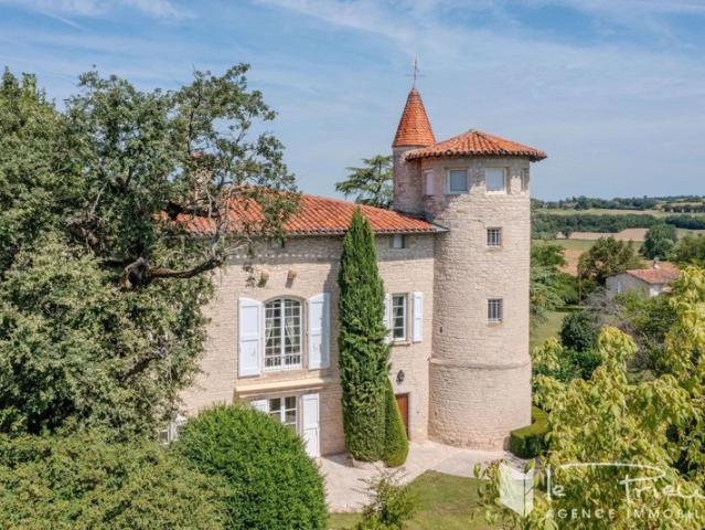 Demeure d'exception du XVIe siècle avec piscine, dépendances et charme historique à 15 min du centre d'Albi