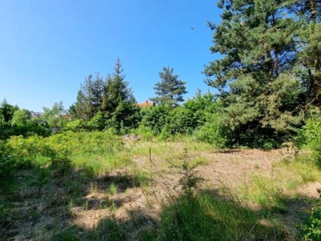 Demlin 687 m², Skarszewy