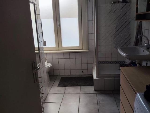 Den Bosch, 5212XH, Silenenstraat