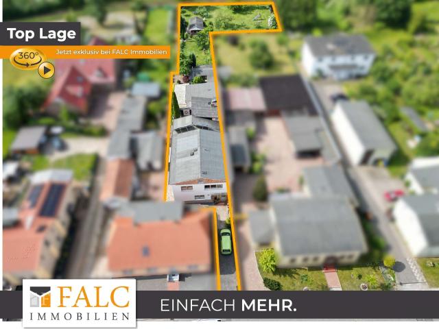 Den Molli als Nachbar