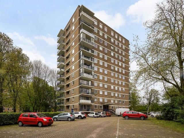 Denenburg, 89, 2591AB, Den Haag, Zuid Holland 2591AB