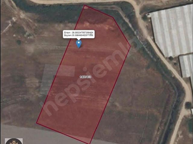 Kundu'da Satılık Tarla: 8131 m, Sahile Yakın, Yatırım Fırsatı