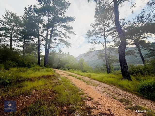 DENİZE SADECE 750 m MESAFEDE DENİZ MANZARALI ACİL SATILIK