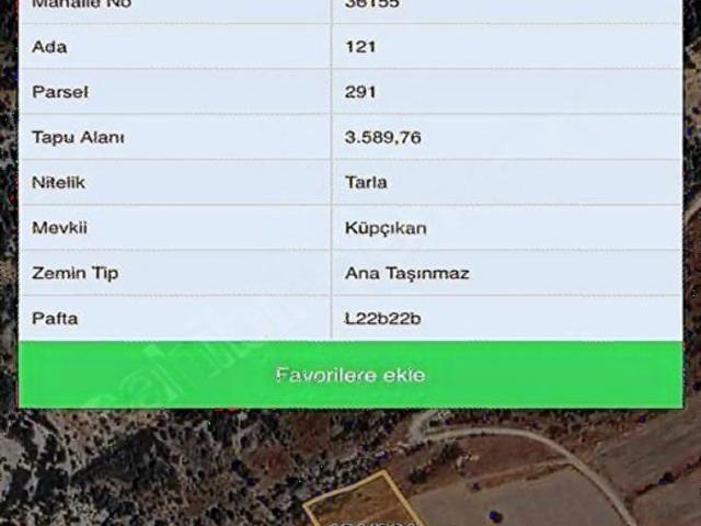 DENİZLİ BEKİLLİDE SATILIK ŞARAPLIK ÜZÜM BAĞI VE CEVİZ BAHÇESİ