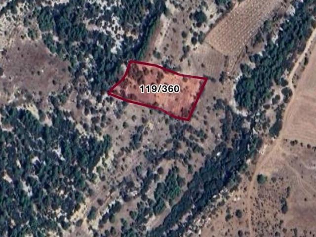 DENİZLİ BEKİLLİ KUTLUBEY 5206m2 BAĞ YERİMİZ SATILIKTIR