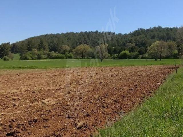DENİZOVA MAH ANAYOL 400METRE MASRAFSIZ DÜZ TARLA
