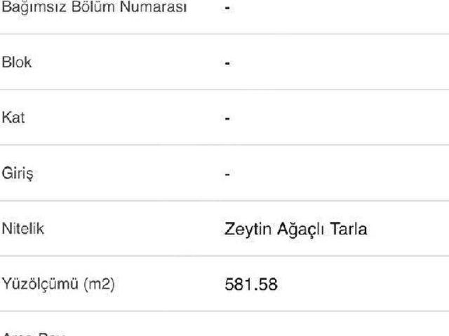 Deniz manzaralı tarla