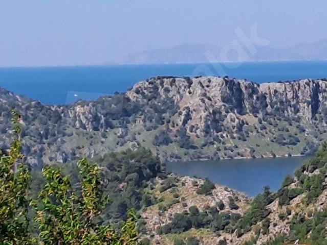 Deniz manzaralı İçinde Kargır Ev Bulunan 7.776 m2 Satılık Tarla