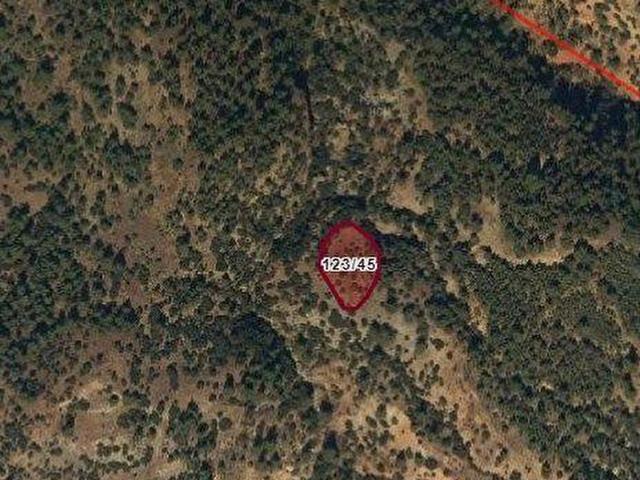 12345 DENİZLİ ÇAL BAHADINLAR SATILIK KELEPİR TARLA