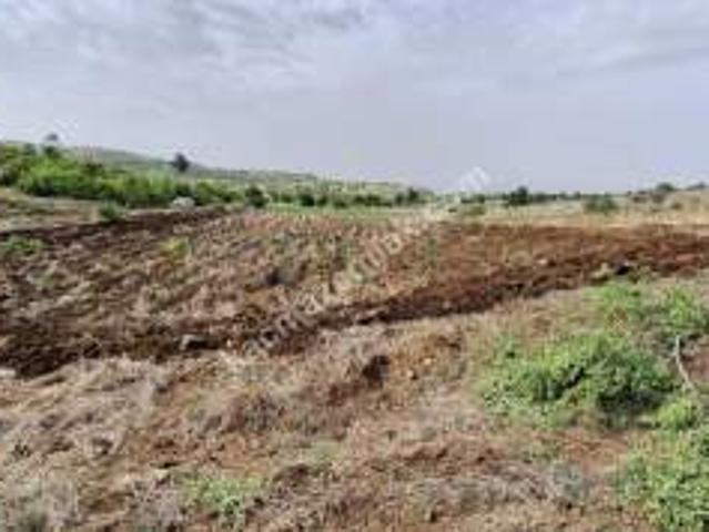 Denizli Çardak Söğütte 2342M2 Sulak Tarla