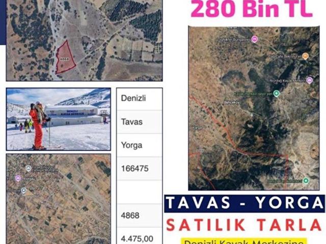 Denizli kayak merkezine yakın Tavas Yorgada 4475 m2 tarla