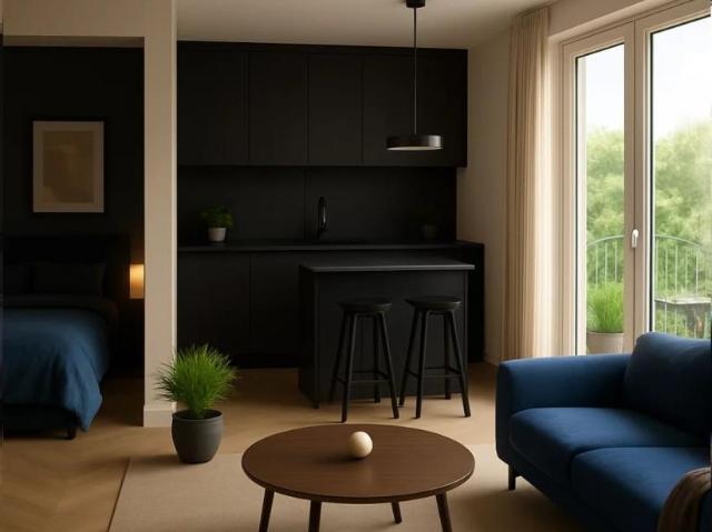 Découvrez ce magnifique studio de 30 m² situé à Issy les Moulineaux