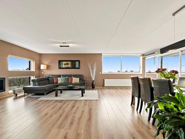 Dedemsvaartweg, 845, 2545DN, Den Haag, Zuid Holland 2545DN