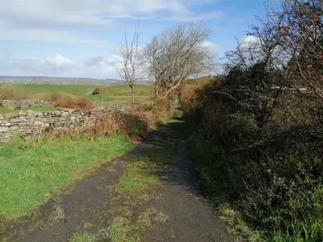 Deerpark West, Ennistymon, Clare, V95 EY81