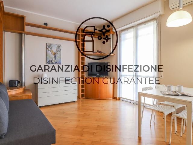 Dei Tulipani 4