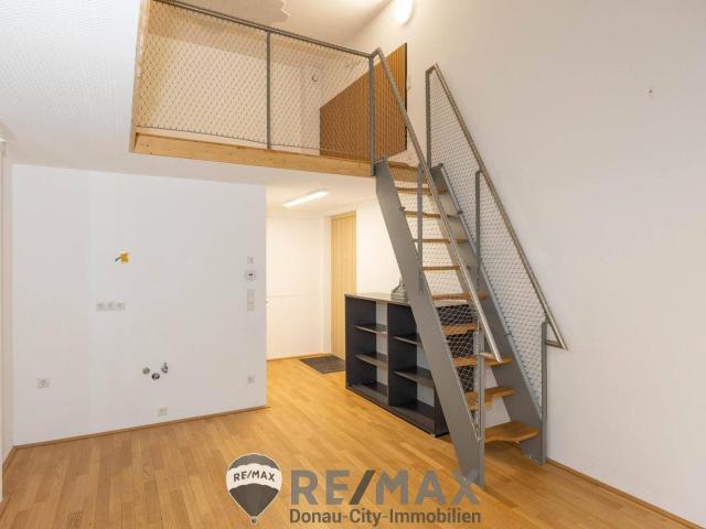 Dein Atelier in der Seestadt