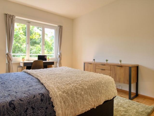 Dein Stilvolles Coliving Home in der Nähe von Basel SBB