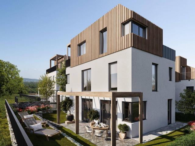 DEIN WEINGARTEN Grünblick in den Weinbergen