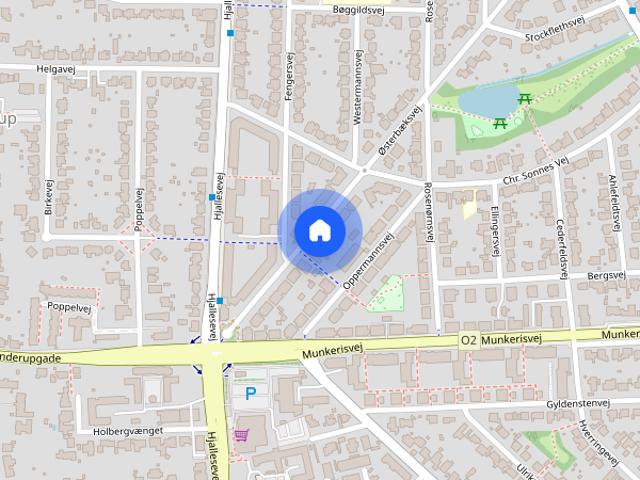 Dejlig 3 værelses lejlighed i det centrale Odense