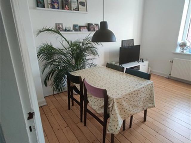 Dejlig 2 værs. ved Østre Anlæg, Aalborg, Nordjylland