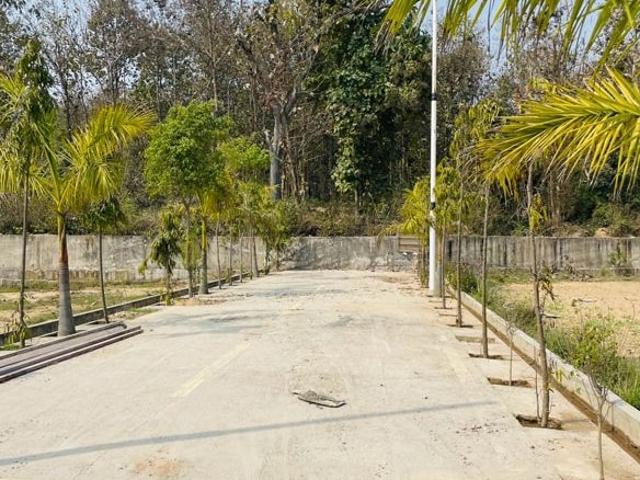 Delhi Dehradun Expressway Biharigarh 130 Sq. Yd. Plot in Biharigarh Dehradun Listing ID: #10032