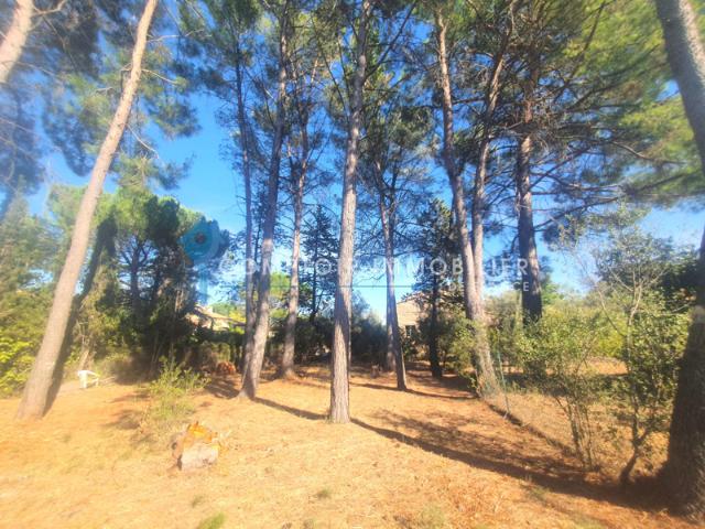 Dépt Hérault 34, à vendre MONTPELLIER Propriété de 2 Maiso