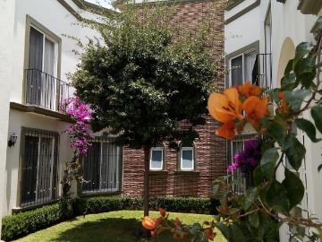 ✨ depto renta planta alta ideal para ejecutivos, retirados. en centro sur, qro