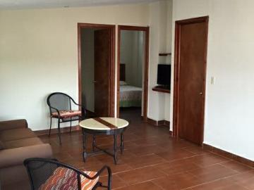 Departamento #1 en Renta Colonia Centro