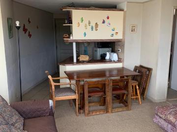 Departamento 2D 1B, Mirador a Isla Negra