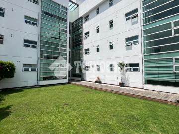 DEPARTAMENTO BASALTO, COL. PEDREGAL DE SANTO DOMINGO