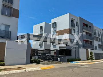 Departamento Amueblado en Cerritos con Alberca